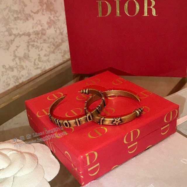 Dior飾品 迪奧經典熱銷款大圈新款耳環耳吊  zgd1321